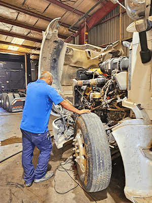 Expert Diagnostics